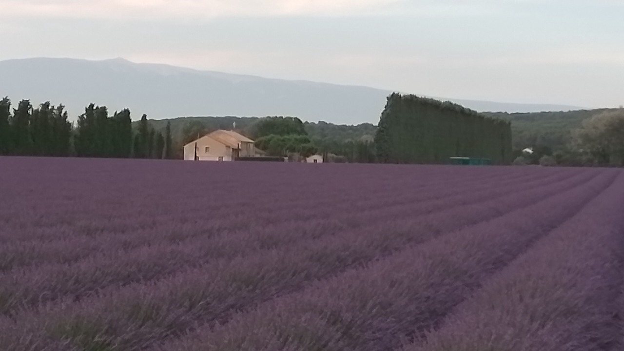 Photo of Others in La Roque-sur-Pernes