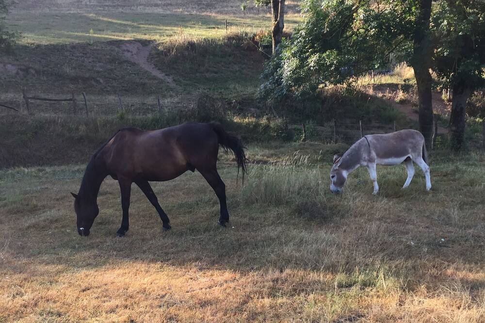 Photo of Others in Dompierre-les-Ormes