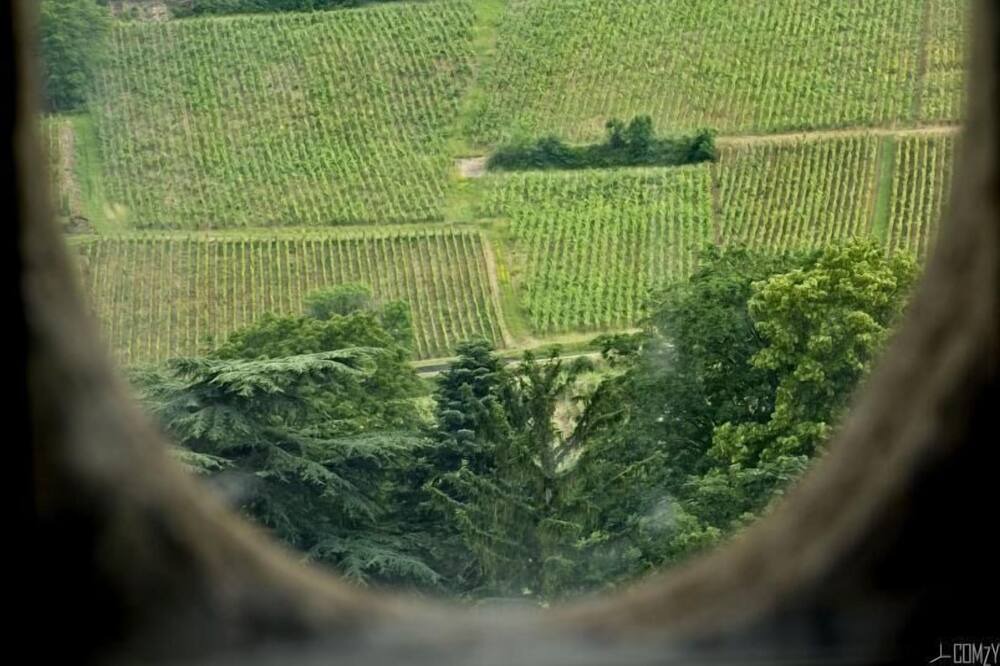Photo of Others in Solutre-Pouilly