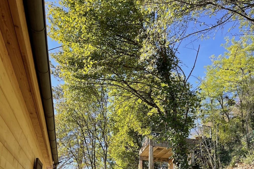 Photo of Outdoor in Chenecey-Buillon