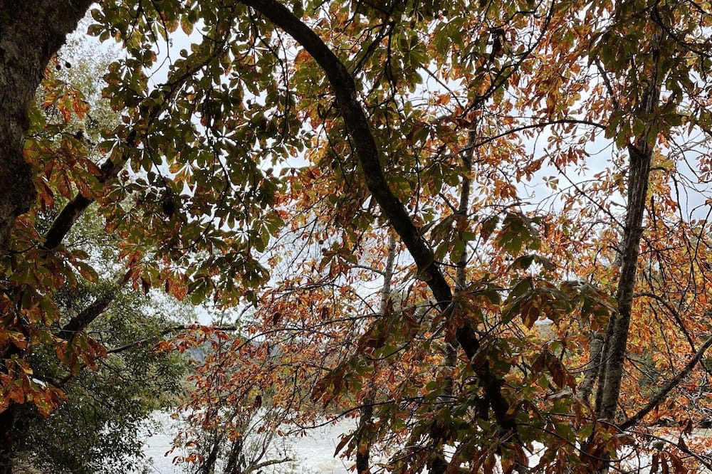 Photo of Outdoor in Chenecey-Buillon