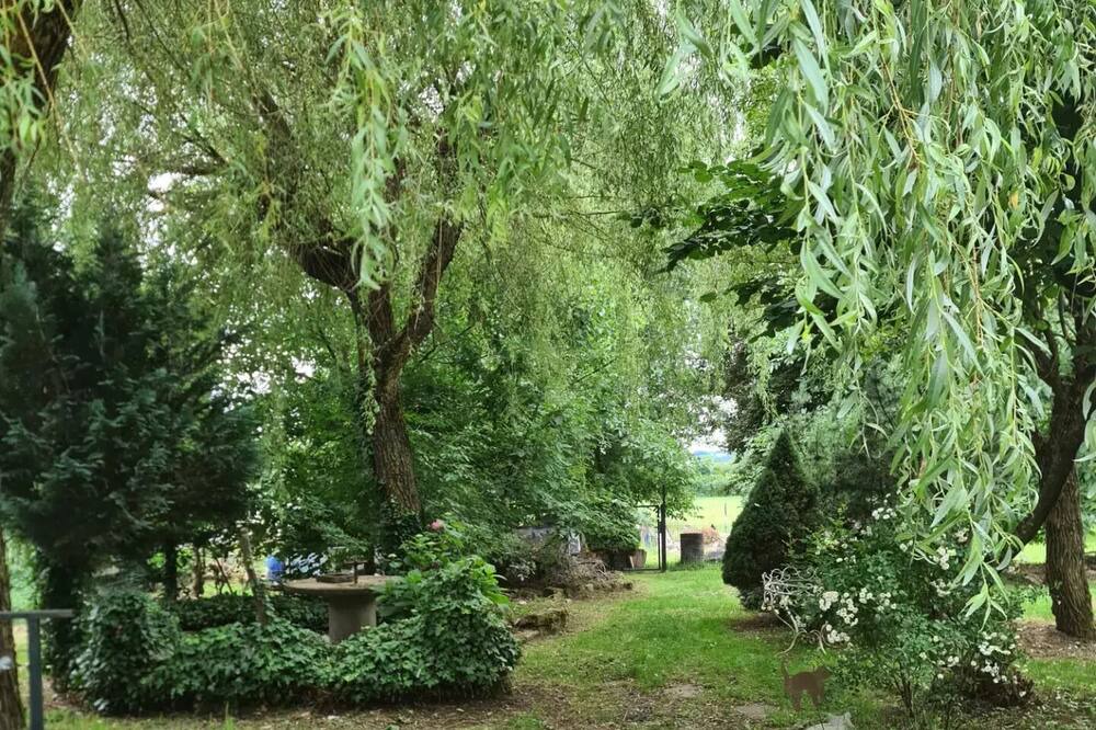 Photo of Outdoor in Velorcey