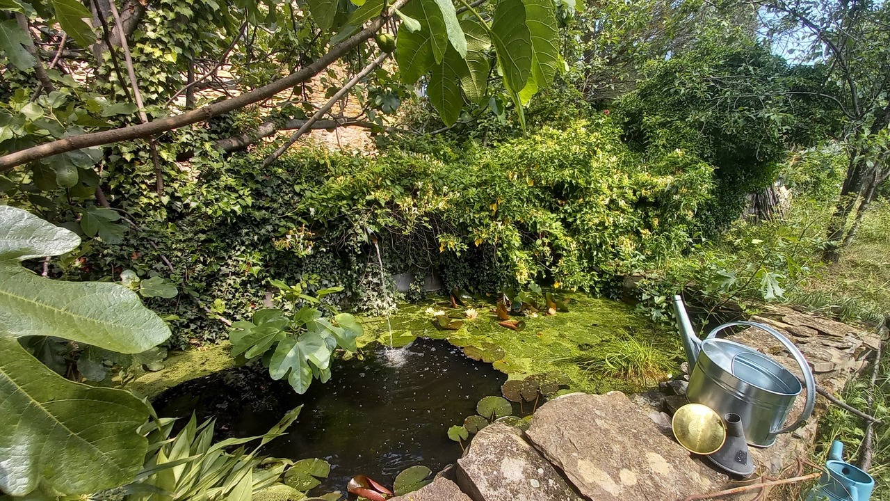 Photo of Outdoor in Vesseaux