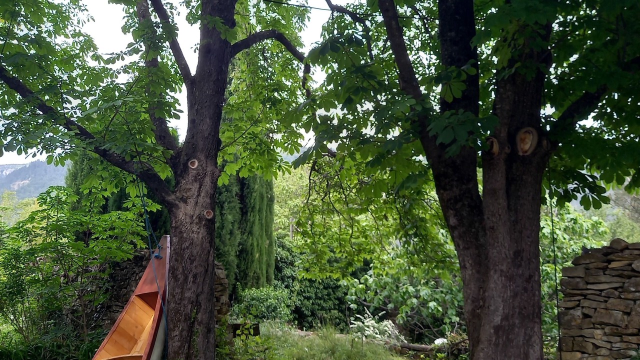 Photo of Outdoor in Vesseaux