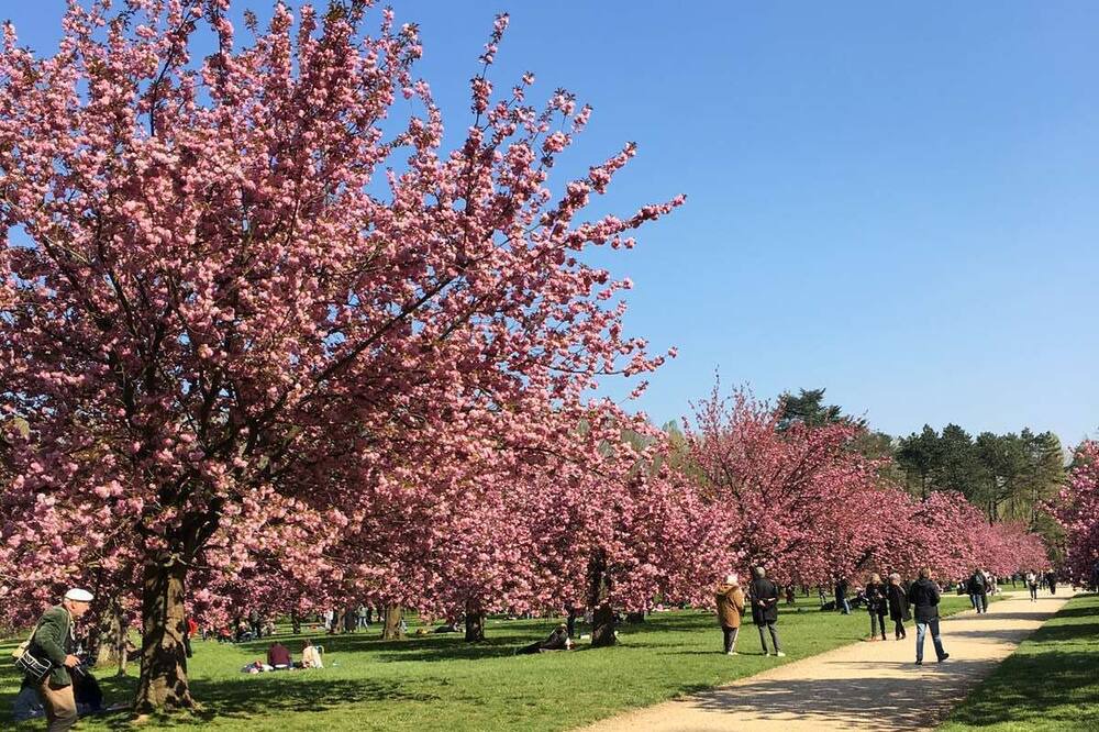 Photo of Outdoor in Chatenay-Malabry