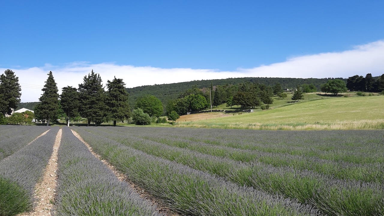 Photo of Outdoor in Montboucher-sur-Jabron