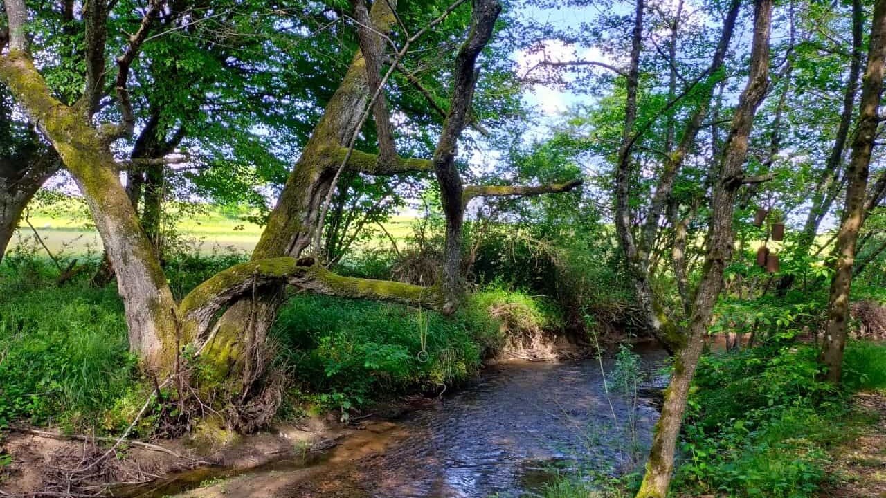 Photo of Outdoor in Saint-Didier-sur-Arroux