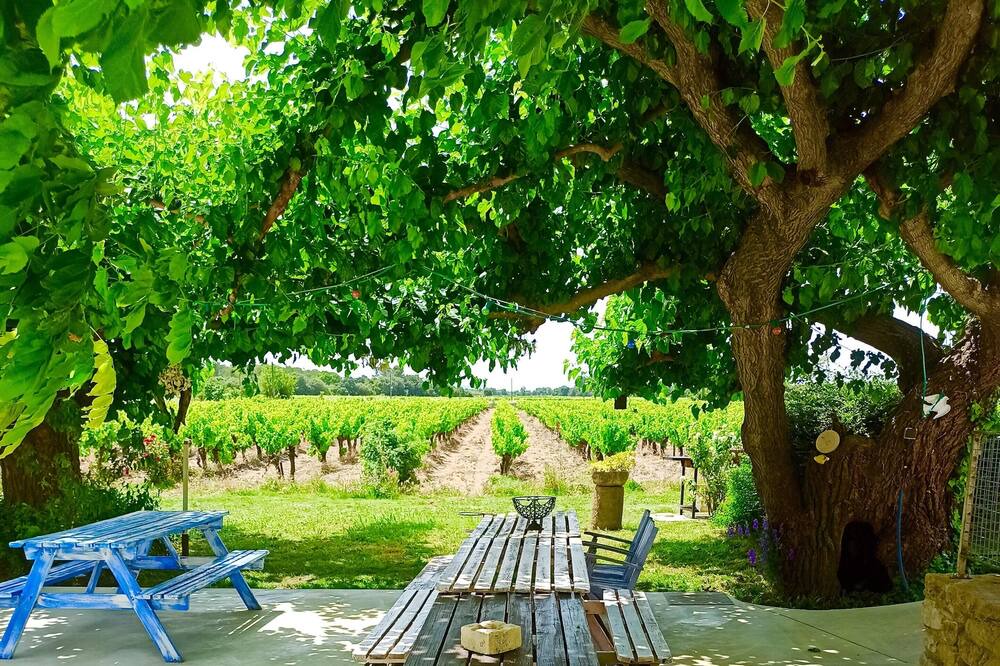 Photo of Outdoor in Richerenches