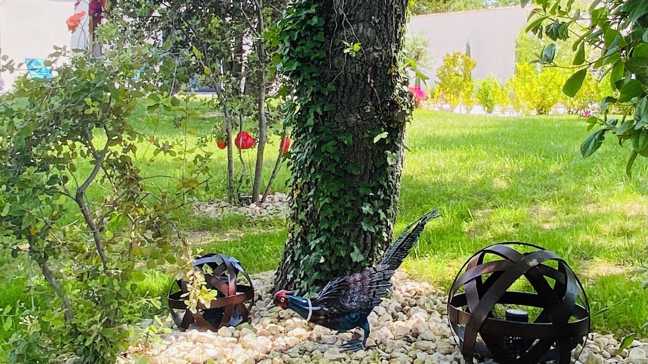 Photo of Outdoor in Sainte-Cecile-les-Vignes
