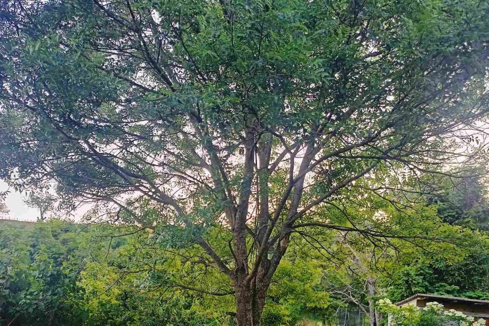 Photo of Outdoor in Saint-Peray