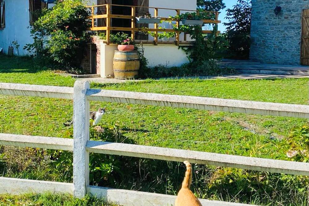 Photo of Outdoor in Marcheseuil