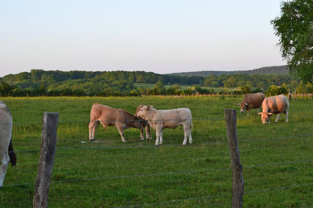 Photo of Others in Marcheseuil