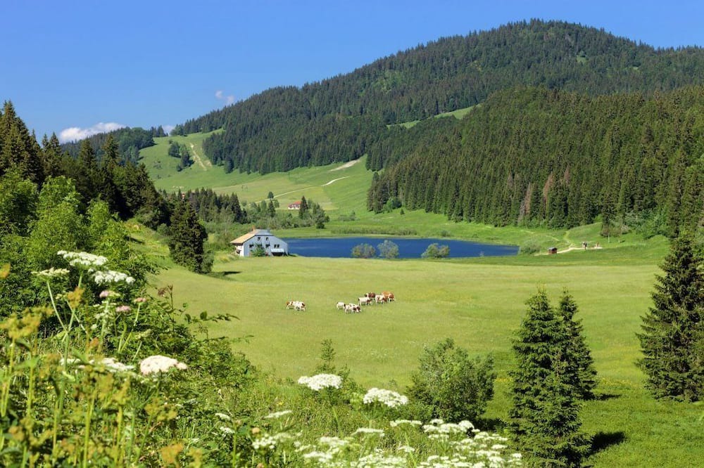 Photo of Others in Bois-d'Amont