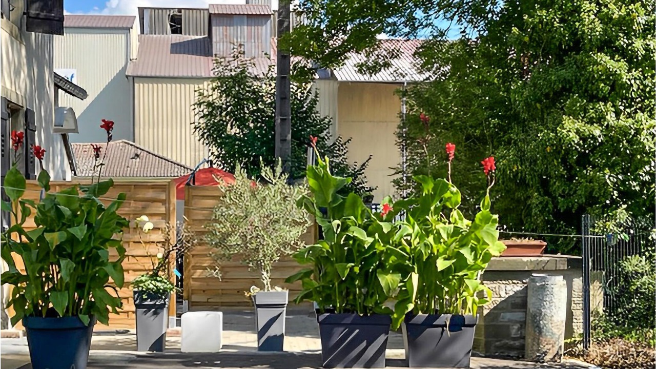 Photo of Outdoor in Corre