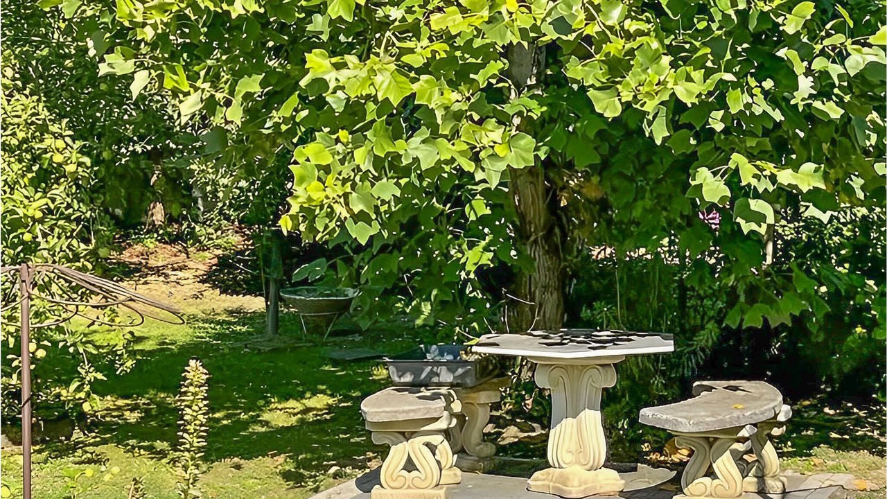 Photo of Outdoor in Corre