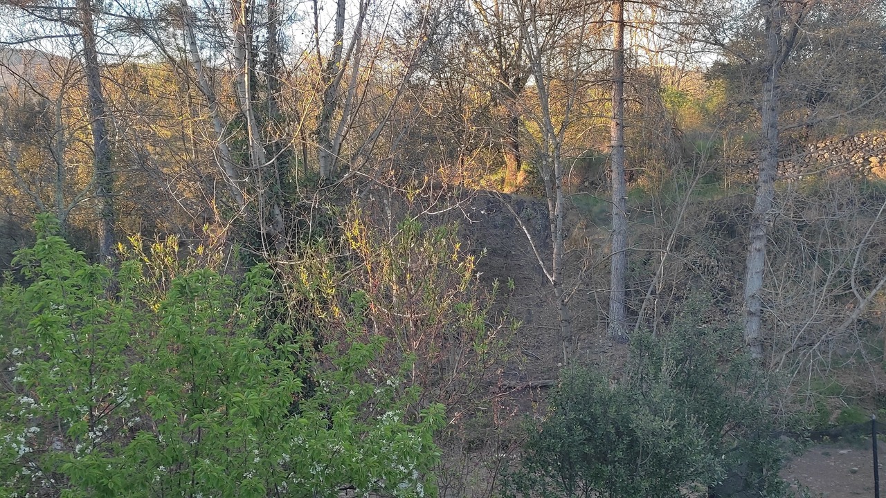Photo of Others in Prades