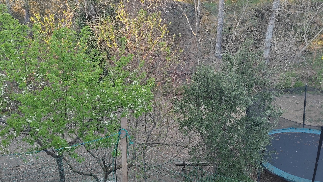 Photo of Others in Prades