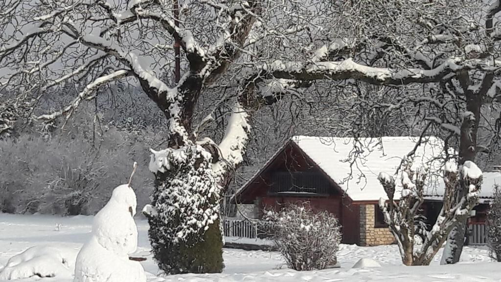 Photo of Outdoor in Girmont-Val-d'Ajol