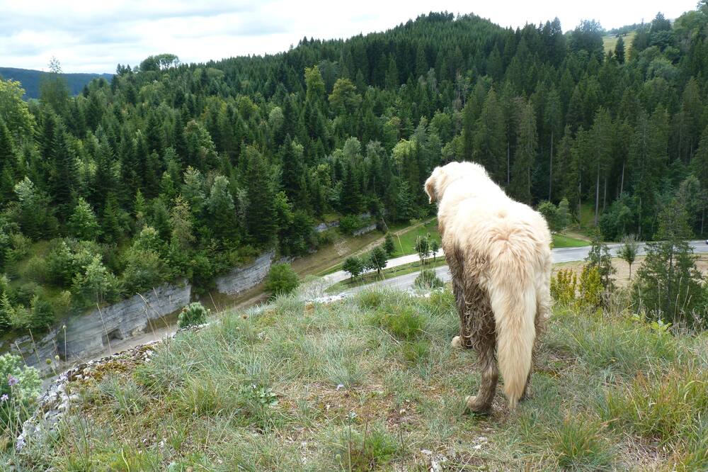Photo of Others in Hauterive-la-Fresse