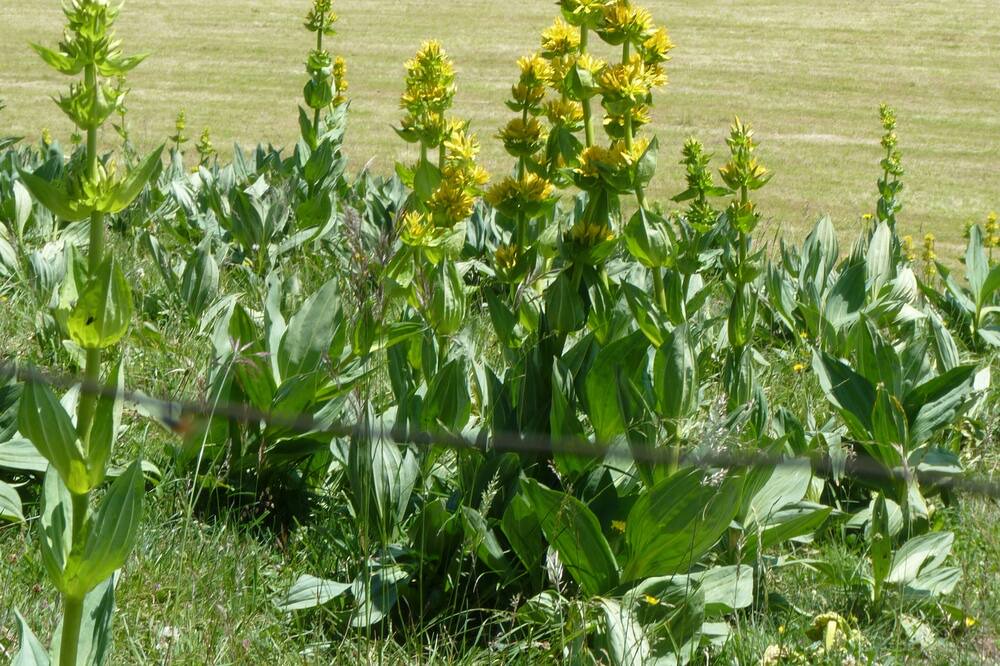 Photo of Outdoor in Hauterive-la-Fresse