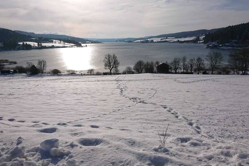 Photo of Others in Hauterive-la-Fresse