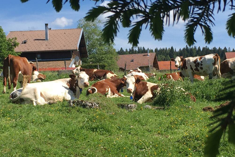 Photo of Outdoor in Hauterive-la-Fresse
