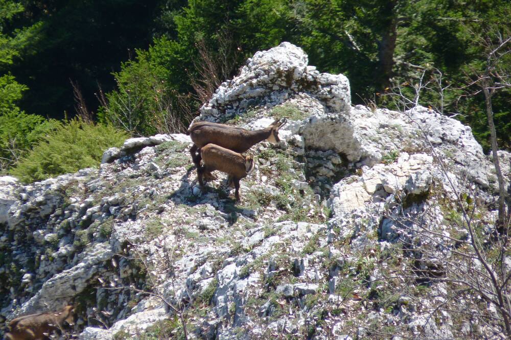 Photo of Outdoor in Hauterive-la-Fresse