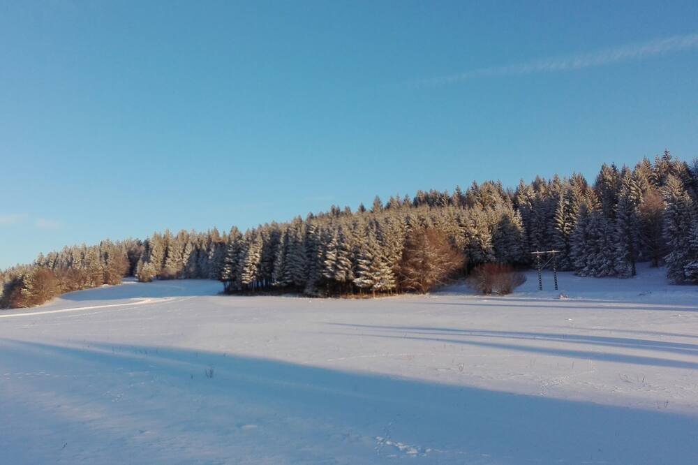 Photo of Outdoor in Hauterive-la-Fresse