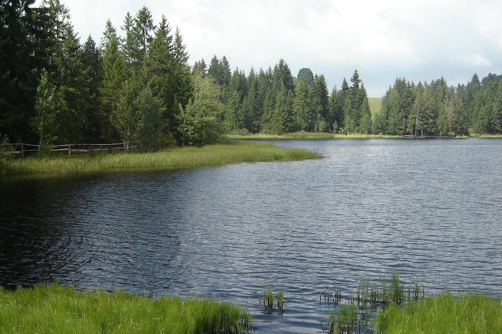 Photo of Outdoor in Belleherbe