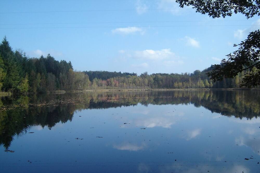 Photo of Others in Belleherbe