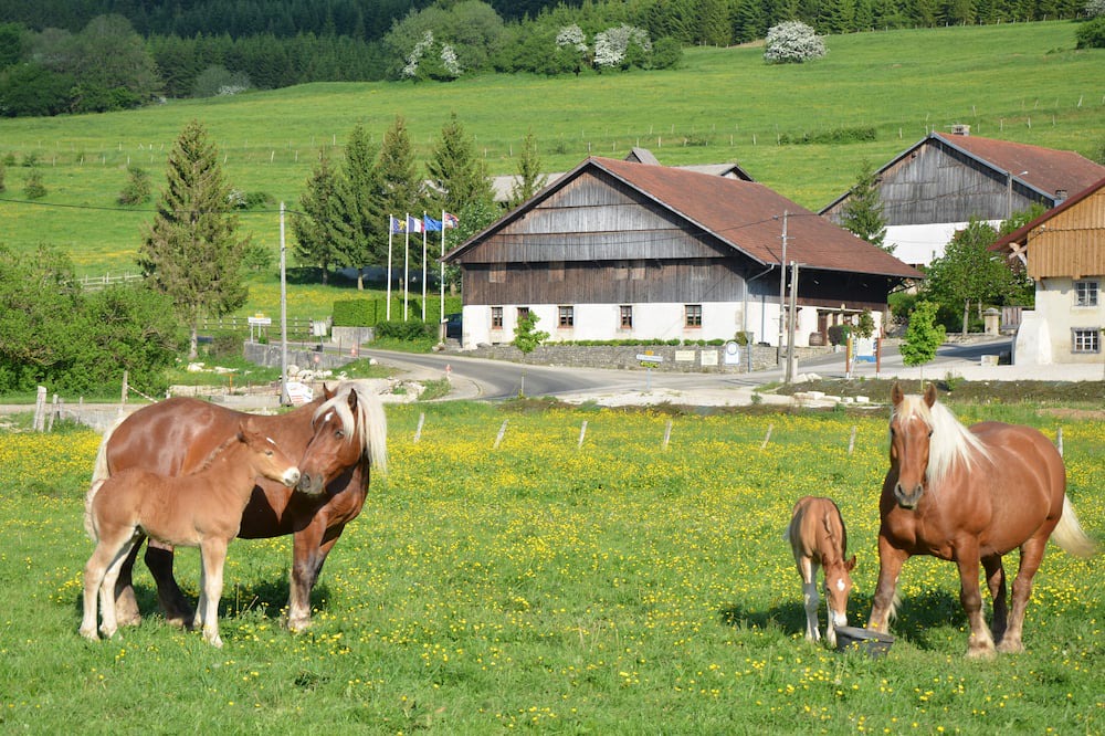 Photo of Others in Belleherbe