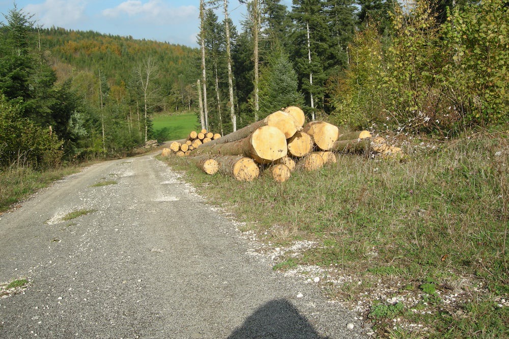 Photo of Others in Belleherbe