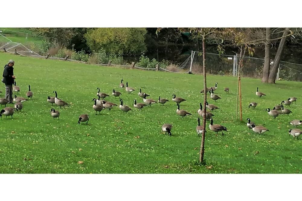 Photo of Outdoor in Vigneux-sur-Seine