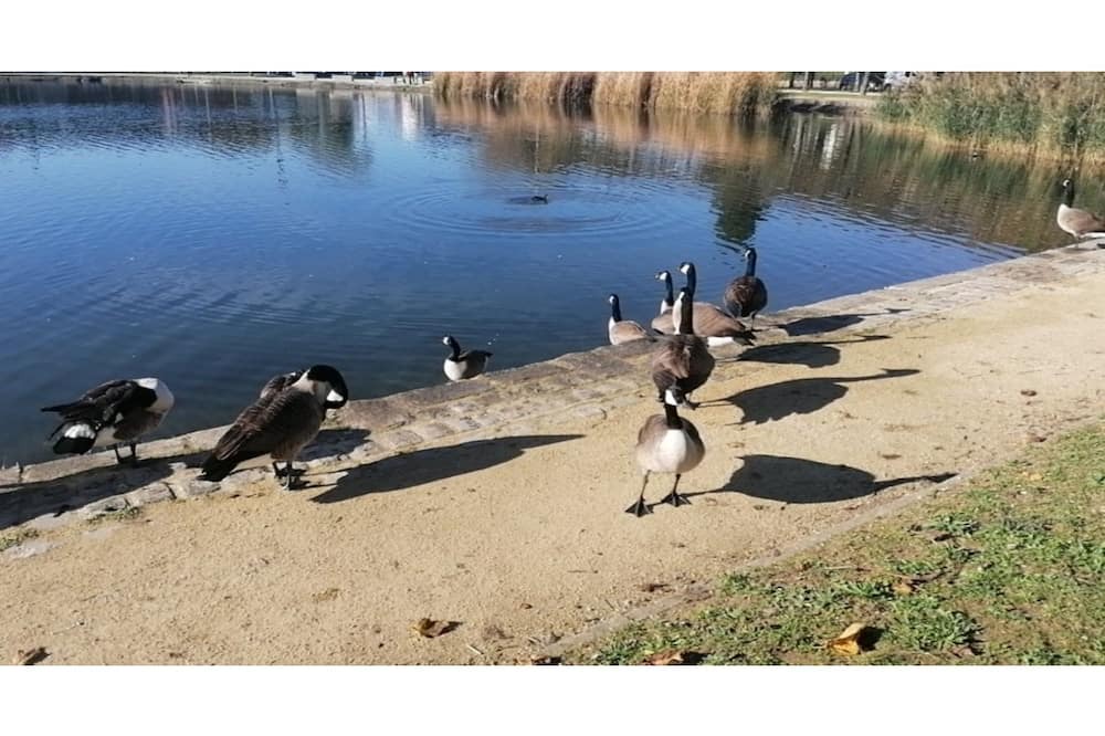 Photo of Outdoor in Vigneux-sur-Seine