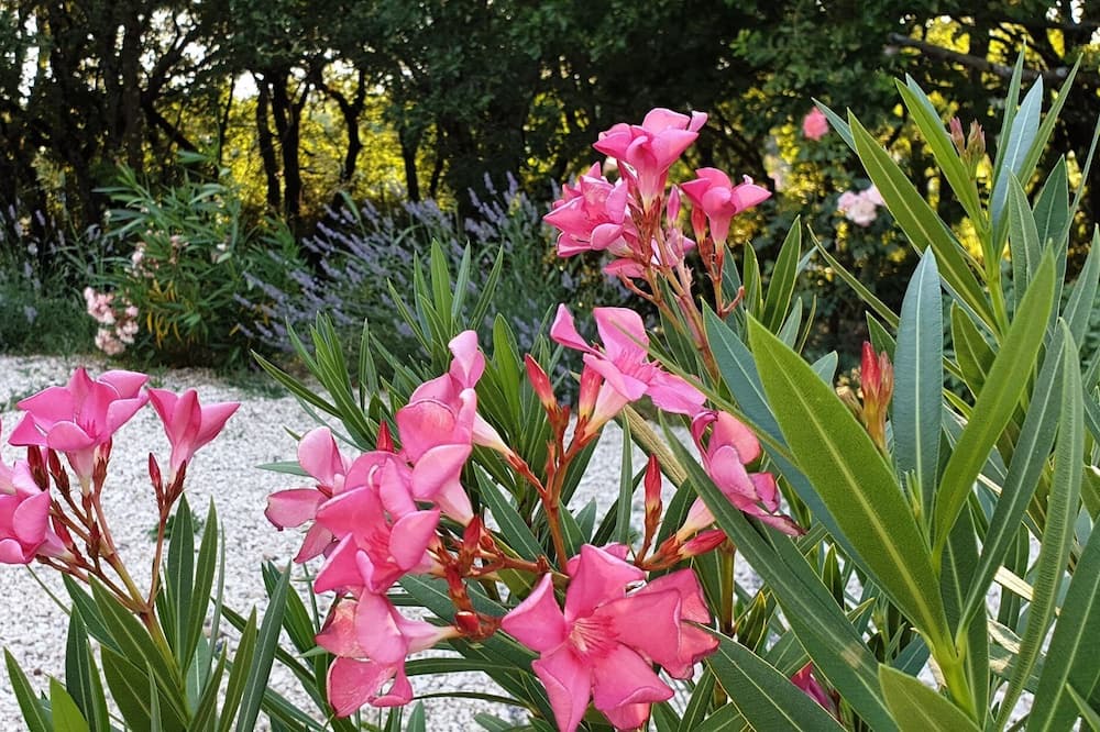 Photo of Outdoor in Saint-Marcel-d'Aredeche