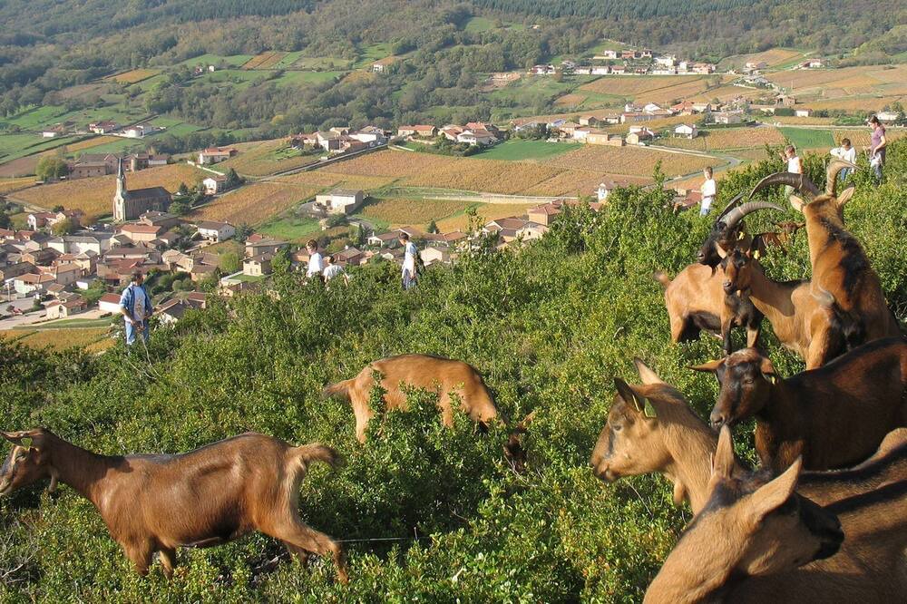 Photo of Outdoor in Prisse