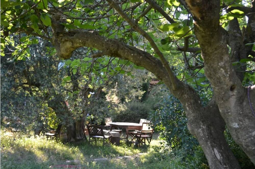 Photo of Outdoor in Chateauneuf-du-Rhone