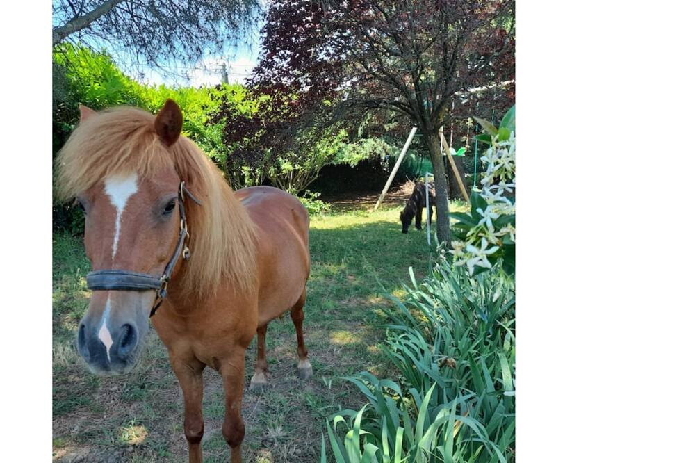 Photo of Outdoor in Chateauneuf-du-Rhone