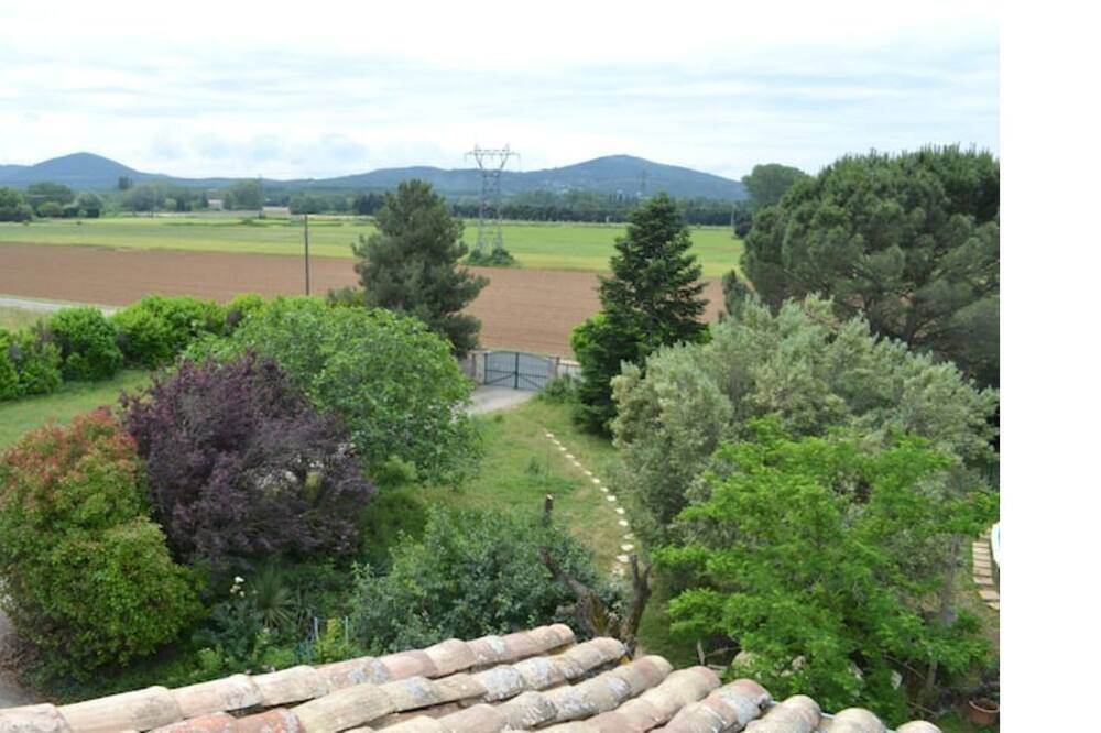 Photo of Outdoor in Chateauneuf-du-Rhone