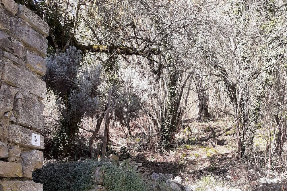 Photo of Outdoor in Lucy-sur-Cure