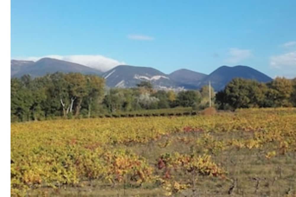 Photo of Outdoor in Valreas