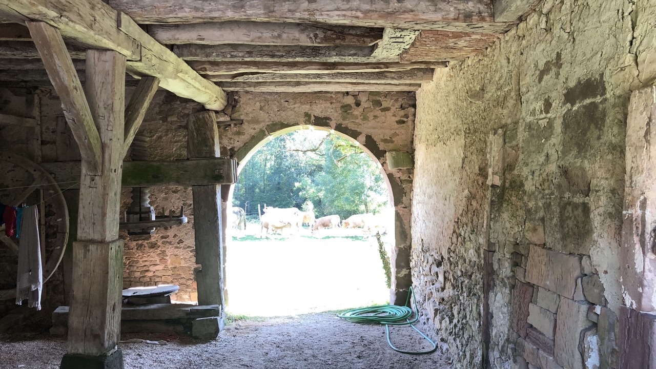 Photo of Outdoor in Morizecourt