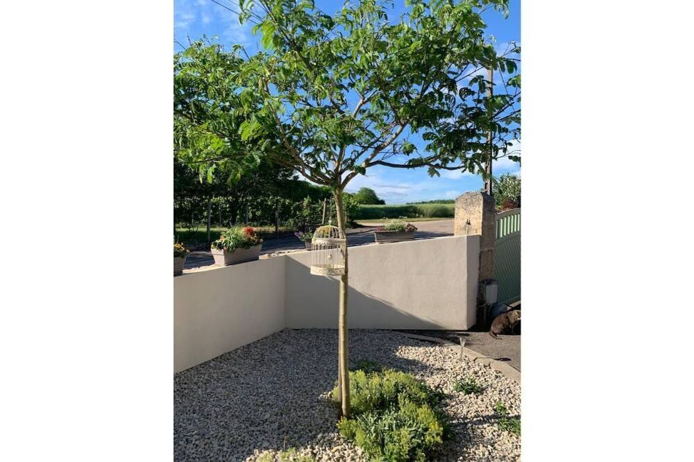 Photo of Outdoor in Gourgeon