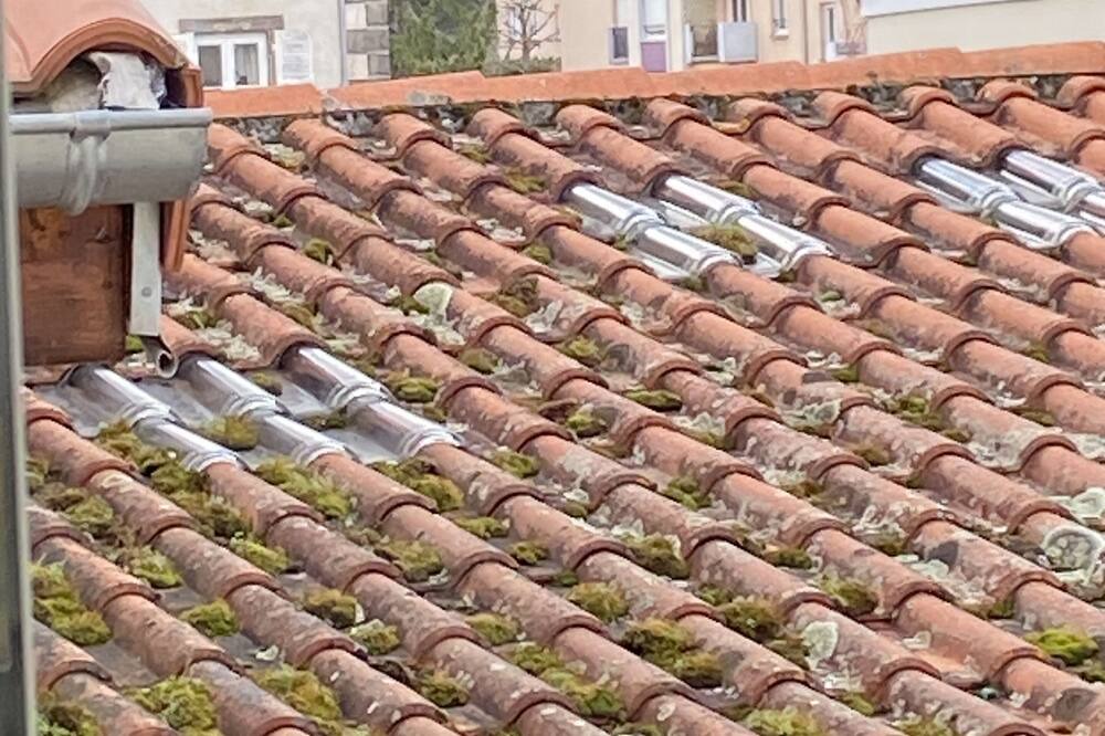 Photo of Outdoor in Teilhard