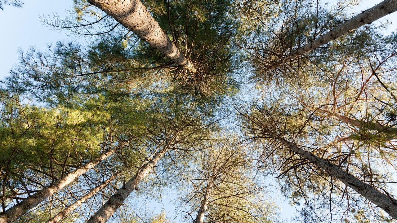 Photo of Outdoor in Sarlat-la-Caneda