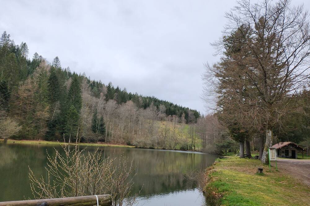 Photo of Outdoor in Fresse-sur-Moselle