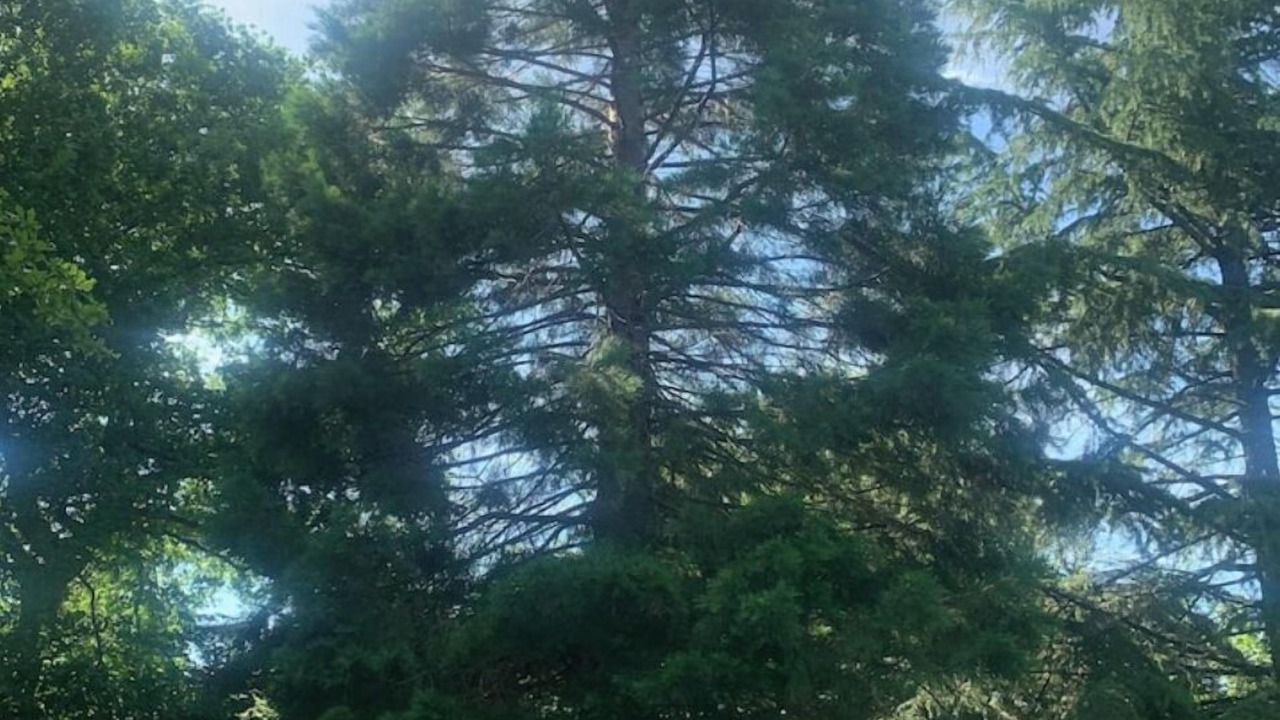 Photo of Outdoor in Saint-Vallier