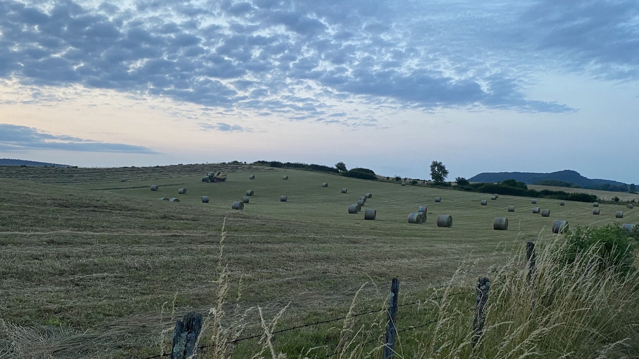 Photo of Outdoor in Mesnois
