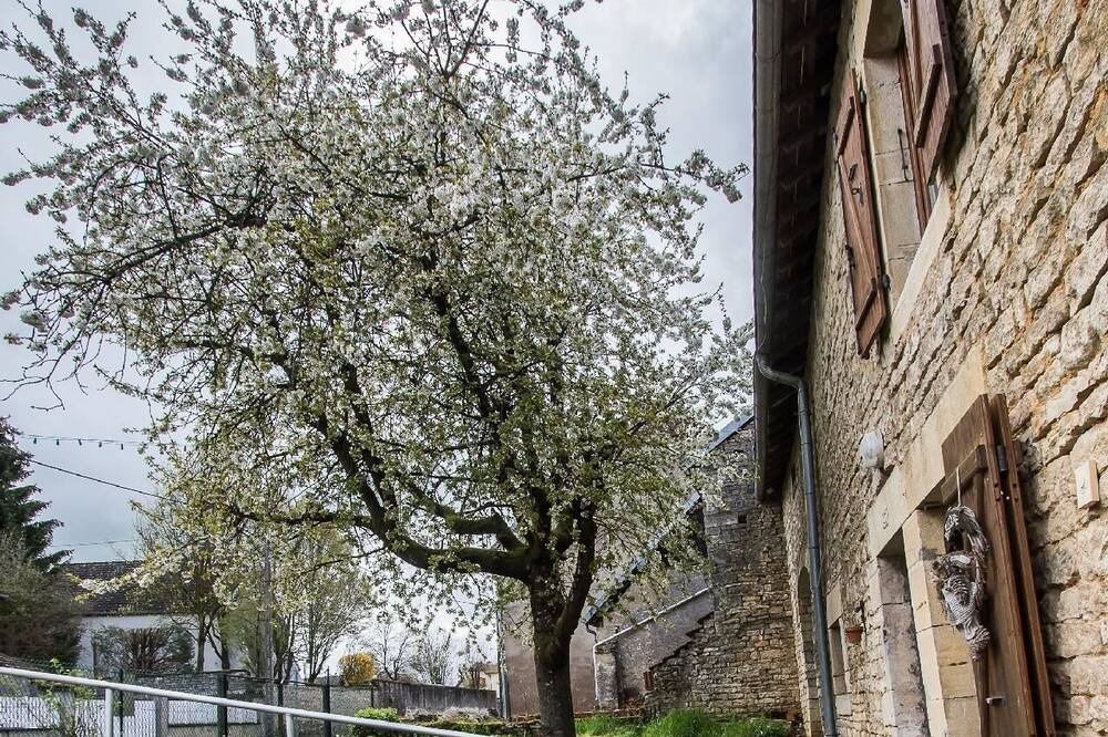 Photo of Outdoor in Brotte-les-Ray