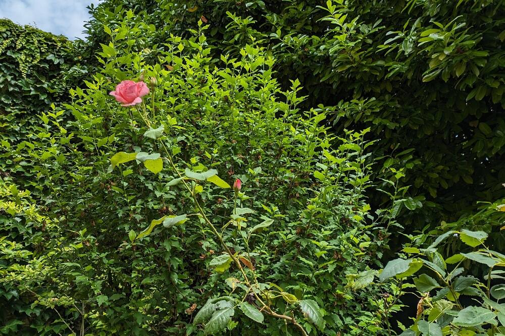 Photo of Outdoor in Verdun-sur-le-Doubs